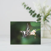 Tiny Zebra Postcard Postkarte (Stehend Vorderseite)