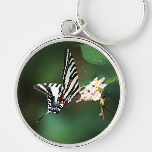 Tiny Zebra Schlüsselanhänger (Vorne)