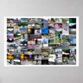 Tinypic Skate Video Miniaturansicht Poster (Vorne)