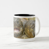 Tinytwo 02 zweifarbige tasse (VorderseiteRechts)