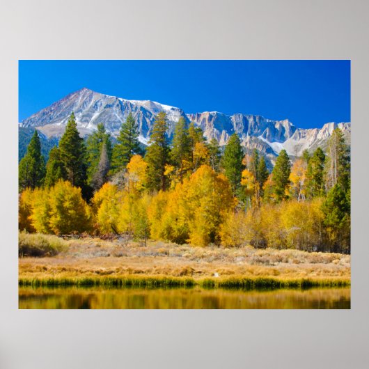 Tioga Pass des Yosemite Nationalparks Poster (Vorne)