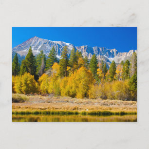 Tioga Pass des Yosemite Nationalparks Postkarte