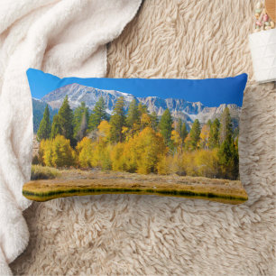 Tioga-Pass im Yosemite-Nationalpark Lendenkissen