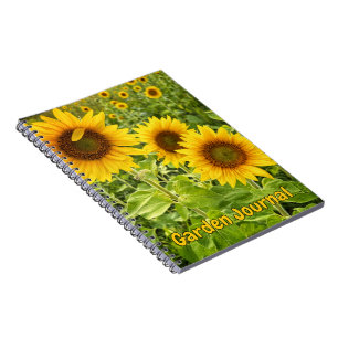 "Tioga Sunflowers" SpiralNotebook Notizblock