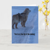 Tipp des Eisbergs, Sie haben das Got - Karte (Gelbe Blume)