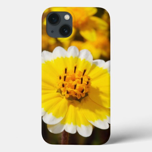 Tipp-Wildblumen Case-Mate iPhone Hülle (Rückseite)