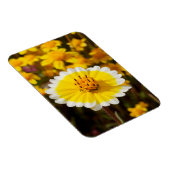 Tipp-Wildblumen Magnet (Rechte Seite)