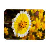 Tipp-Wildblumen Magnet (Horizontal)