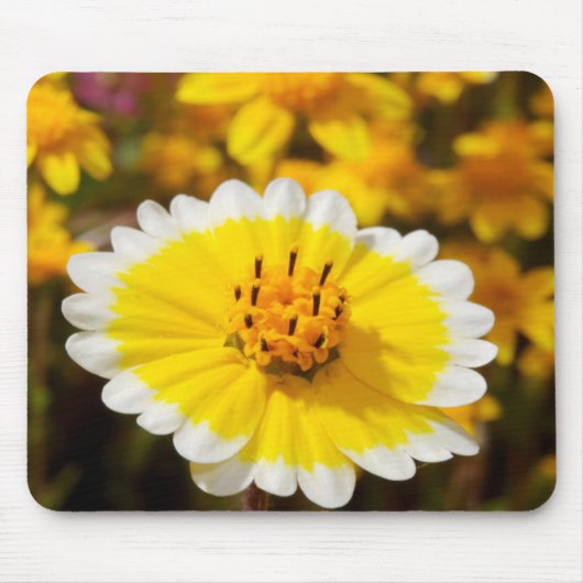 Tipp-Wildblumen Mousepad (Vorne)