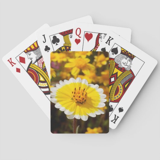 Tipp-Wildblumen Spielkarten (Rückseite)