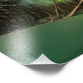 Tipping Spruce Aurora Fotodruck (Ecke)