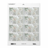 Tipps für Arborvitae (Vorne)