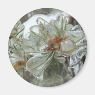 Tipps für Arborvitae Magnet