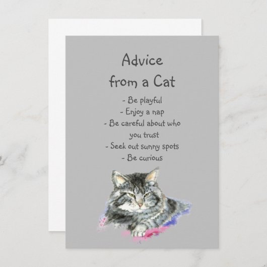 Tipps von einem Cat Fun Animal Spaß (Vorne/Hinten)