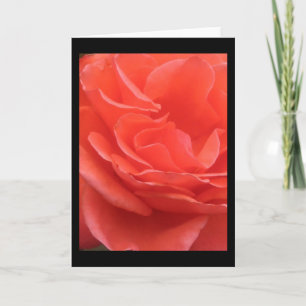Tipps zur Blume der Peach-Rose-Foto-Grußkarte Karte