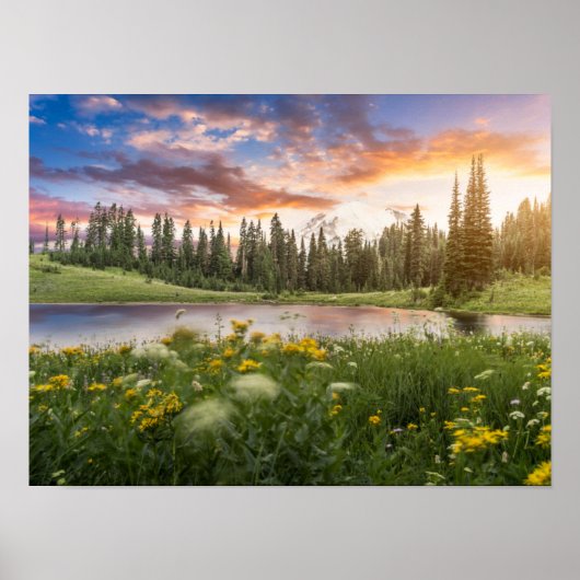 Tipsoo See von Mt.Rainier Poster (Vorne)