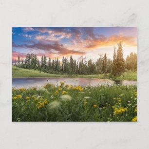 Tipsoo See von Mt.Rainier Postkarte