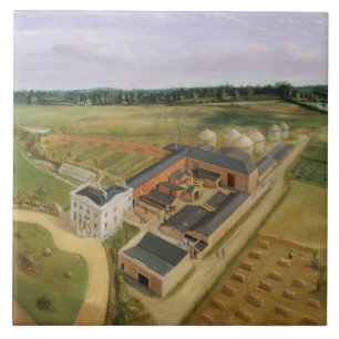 Tiptree Hall und Bauernhof, Essex, c.1850-60 (Öl Fliese