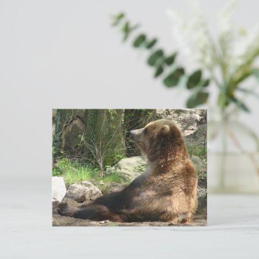 Tired Bear Postkarte (Stehend Vorderseite)