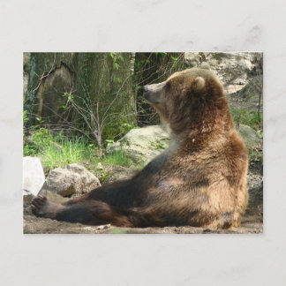 Tired Bear Postkarte