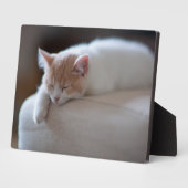 Tired Beige und White Kitten Fotoplatte (Seite)