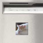 Tired Beige und White Kitten Magnet (In Situ (Geschirrspüler))