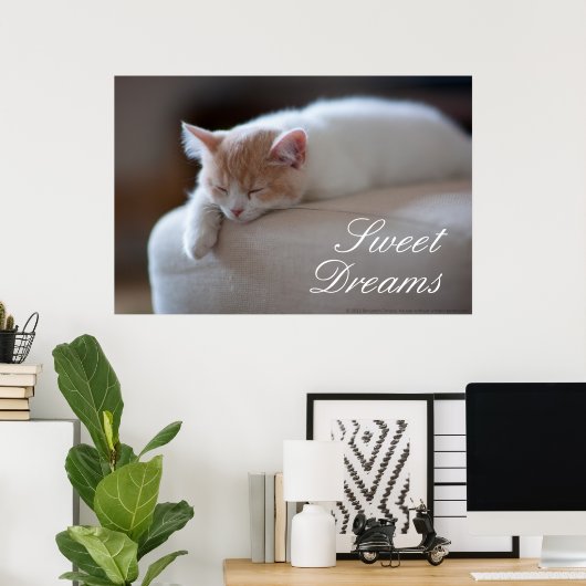 Tired Beige und White Kitten Poster (Heimbüro)