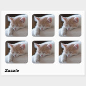 Tired Beige und White Kitten Quadratischer Aufkleber (Blatt)