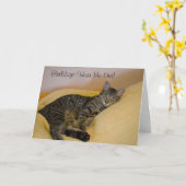 Tired Cat Birthday Card Karte (Gelbe Blume)