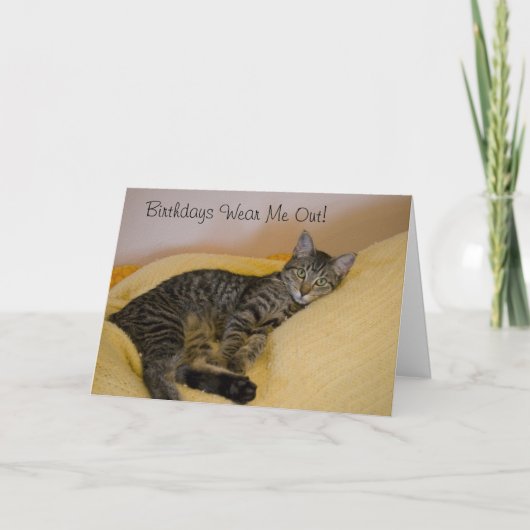 Tired Cat Birthday Card Karte (Vorderseite)