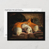 Tired Cowboy Welppies Postkarte (Vorne/Hinten)