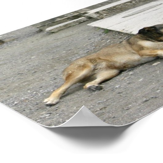 Tired Dog Custom Poster (Ecke)