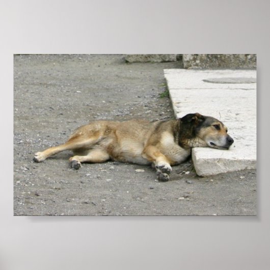 Tired Dog Custom Poster (Vorne)