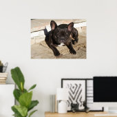 Tired French Bulldog Poster (Heimbüro)