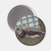 Tired Kitten Magnet (Vorderseite/Rückseite)