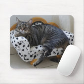 Tired kitty mousepad (Mit Mouse)