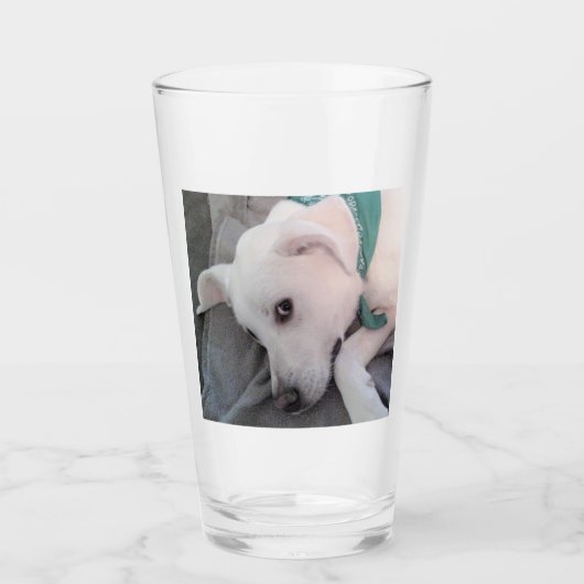 Tired St Patricks Day Hund mit Grün Glas (Vorderseite)