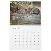 Tired Tabbies Calendar Kalender (Jan 2027)