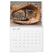  Tired Tabbies Calendar Kalender (Mär 2027)