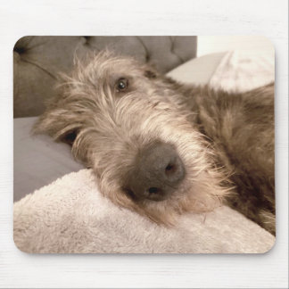 Tired young Irish Wolfhound Mousepad