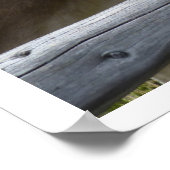 Tiroler Kuhgesicht durch Zaun Poster (Ecke)