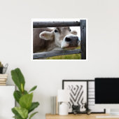 Tiroler Kuhgesicht durch Zaun Poster (Heimbüro)