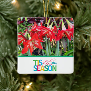'Tis the Season' Amaryllis-Schmuck Keramikornament