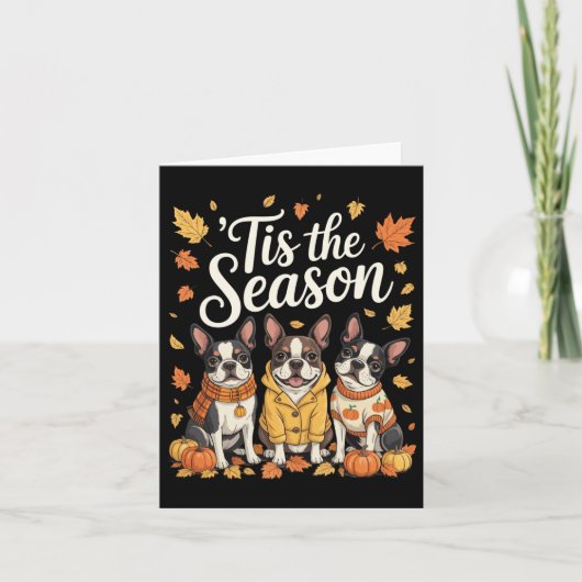 Tis The Season Boston Terrier Fall Autumn Pumpkin Karte (Vorderseite)