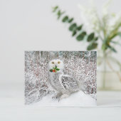 "T'is The Season" Postkarte (Stehend Vorderseite)