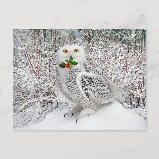 "T'is The Season" Postkarte (Vorderseite)