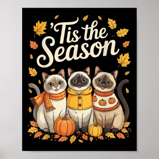 Tis The Season Siamese Cat Fall Autumn Pumpkin Poster (Vorne)