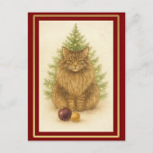 Tis the Season to Purr — Personalized Maine Coon Postkarte (Vorderseite)
