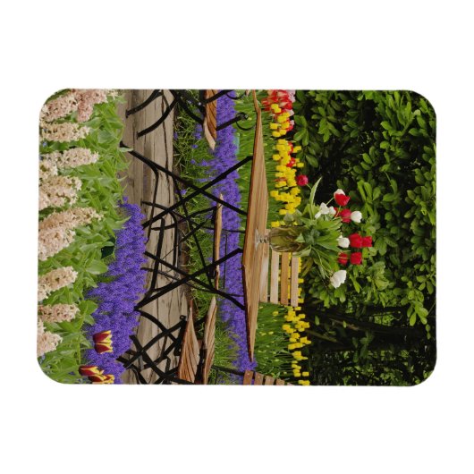 Tischdecken im Garten, Keukenhof Gardens, Magnet (Horizontal)
