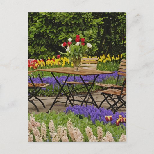 Tischdecken im Garten, Keukenhof Gardens, Postkarte (Vorderseite)